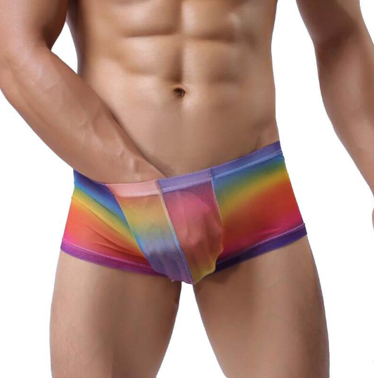 Men's sexy underwear, transparent printed mesh pants, breathable, sexy transparent underwear